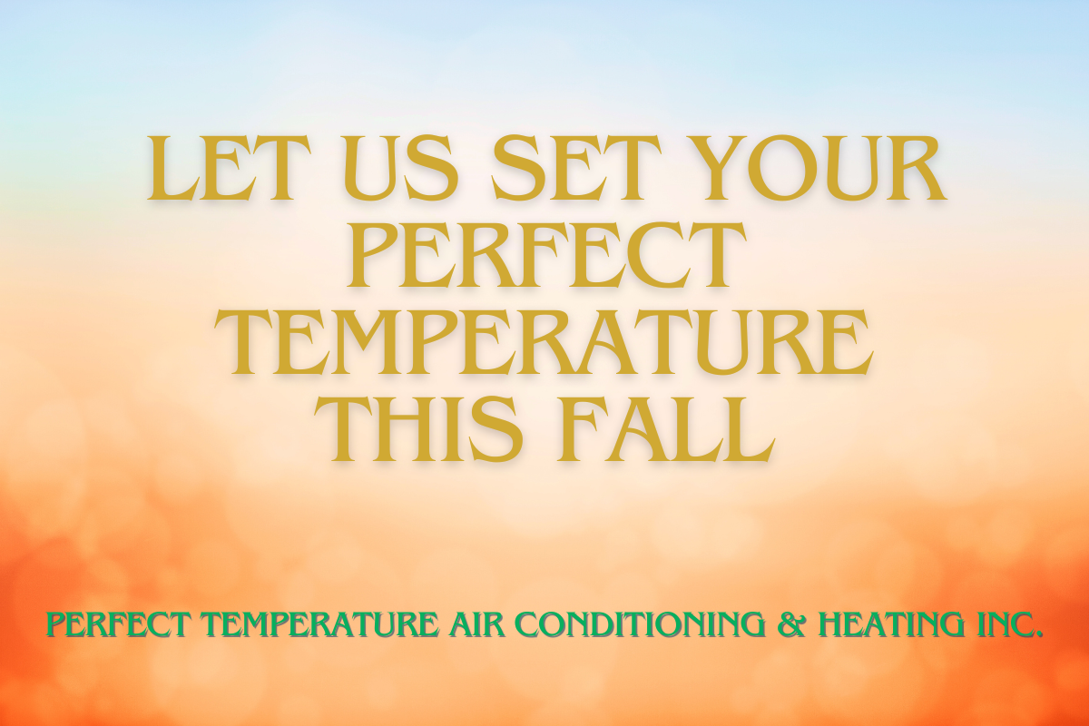 Let Us Set Your Perfect Temperature